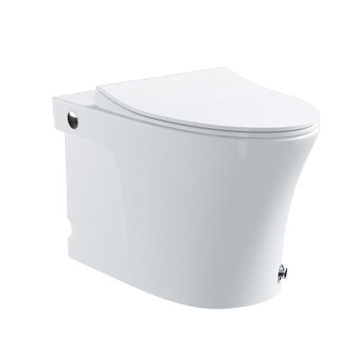 China Flush Mounted Bidet Siphonic Strap Automatic Operation Flush Toilet for sale