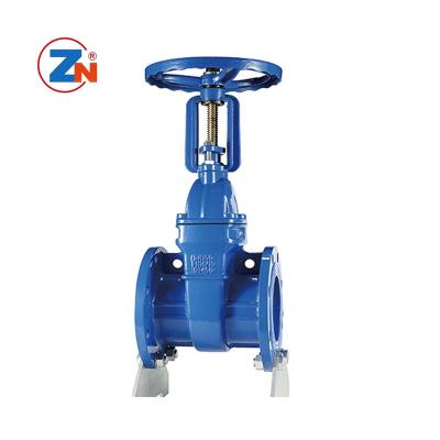 China General Customize 300Psi Flanged Ductile Iron Gate Valve Fire Gate Valve Seal Soft Gate Valve For Water Pipeline for sale