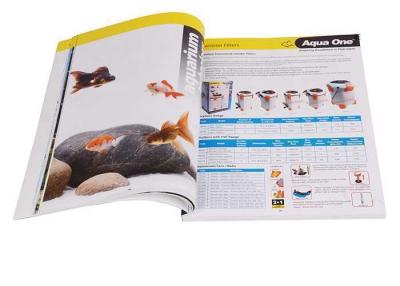 China CMYK Catalogs Color Printing Company Short Run Catalogue Printing Services for sale