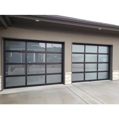 China Eco - Friendly Garage Door With Double Pass Door Glass Aluminum Garage Doors for sale