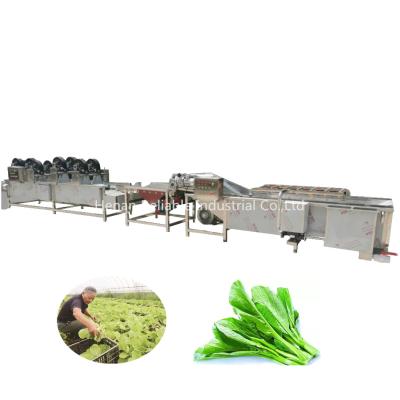 China Good Factory Price Vegetable Slicer Vegetable Slicer Cutting and Washing Machine Fresh Vegetable Vacuum Packing Production Line for sale