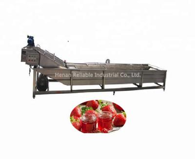 China Strawberry washing commercial 304 stainless steel strawberry cleaning machine and washing machine for sale for sale