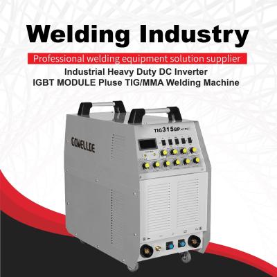 Chine L'inverseur a basé TIG/ARC soudant la machine de soudure 60Hz portative pour la machine de soudure avancée de technologie d'inverseur d'utilisation à la maison à vendre