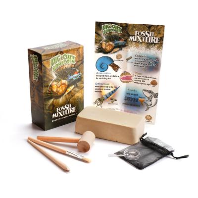 China CXDGEM STUFFED PK661-4 Assorted Fossil Dig Discover Excavation Kit for Child for sale