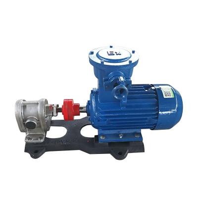 China Reasonable Price Corrosion Resistance 2CY-3 High Temperature And High Pressure Stainless Steel Hydraulic Mini Gear Oil Pump for sale