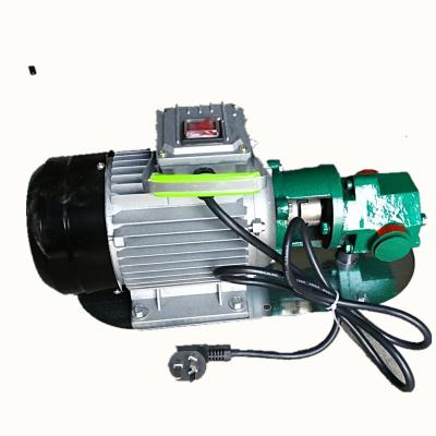 China Corrosion Resistance Gear Oil Pump 220V Voltage Gear Pump Portable Oil Transfer Pump for sale