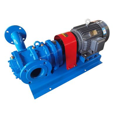 China Wholesale High Quality Large Flow Spiral CAM Rotor Pump For Mud Sewage Chemical Excrement for sale