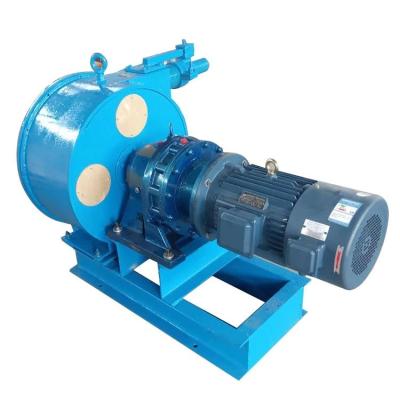 China Commercial Chemical Particle Pump Sewage Mud Pump Pipe Foaming Buildings Rgb-32 Cement Mortar Pump Extrusion Hose for sale