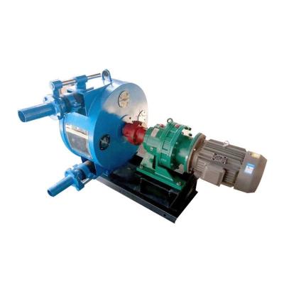 China Max.lift Head Rgb-32 Slurry Chemical Sewage Particle Foam Foam Cement Mortar Pump Extrusion Pipe Pipe Pump for sale