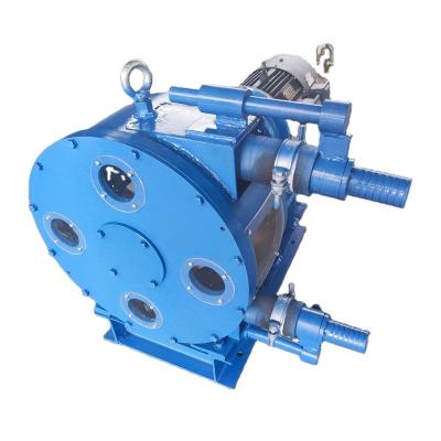 China Max.lift Head Manufacturer Price Cement Foam Small Industry Extrusion Pump Wholesale Industry Pipe Pump for sale