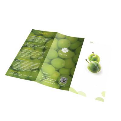 China Wholesale Custom High Quality Promotional Color Folded Advertising Document Bag A3 A4 A5 Size Folder, Booklet, Pamphlet, Booklet Printing for sale