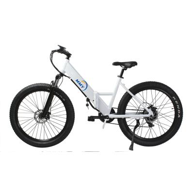 China Aluminum alloy 7S speed 48v lithium mountain bike pedal assisted electric mountain bike for sale