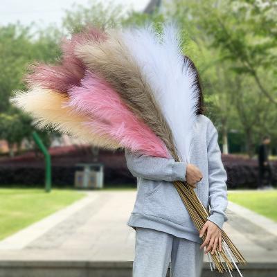 China Store High Quality Artificial Fake Pampas Grass Art Gallery Decoration 100cm 39inch Pink White Purple Artificial Fake Pampas Grass for sale