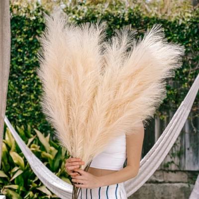 China Gray Natural Faux Artificial Large Pompa Decor White Large Fluffy Pampas Grass 110cm Natural Touch Small for sale