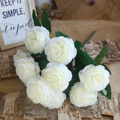 China Decotation Home Decoration Explosion Flowers 10 Peony Flower Artificial Peony Silk Flower Heads For Layout for sale