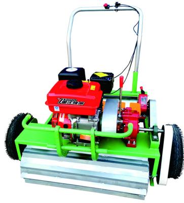 China Seedling Hand Push Gasoline Engine Vegetable Seeder For Sale for sale