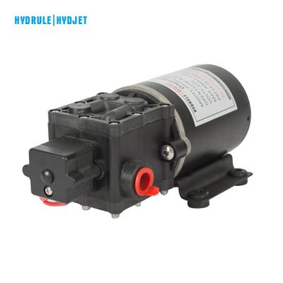 China 12v Hydrule Diaphragm Pump Pressure Switch DC MARINE Water Pumps For Agricultural Irrigation for sale