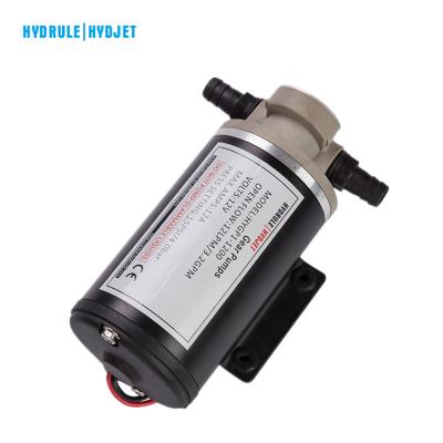 China HYDRULE Honey Gear Pump12v Gear Oil Transfer Food Pump for sale