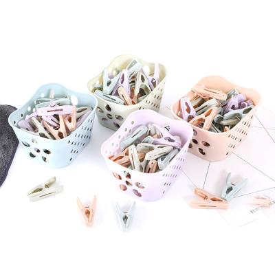 China Modern Colorful Clothespins from Tulip Flower Soft Grip Plastic for sale