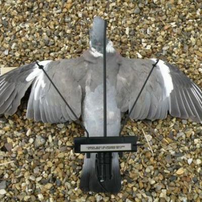 China Hunting and shooting. Pigeon Decoying Fin Pigeon Fin With Timer Decoying Remote Control Shooting Hunting Decoy for sale