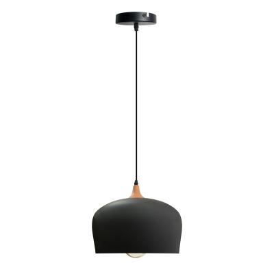 China Modern Fashion Amazon Color Pendant Light Metal Decorative Aluminum Black Ceiling Lamp for Hotel Home Living Room Hanging Lamp for sale