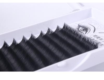 China Handmade Korean Hot Selling Private Label Eyelash Extensions Classic Lashes for sale