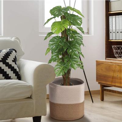 China Viable Decors Woven Handles Natural Plant Cotton Rope Basket Cotton Rope Plant Basket for sale