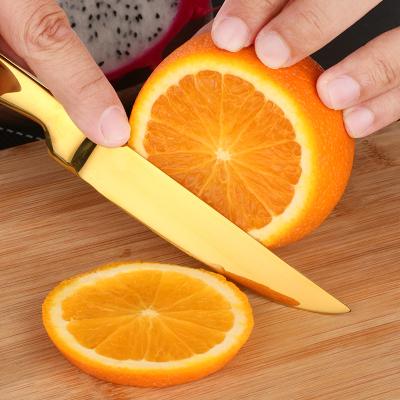 China Sustainable Kitchenware Protective Fingers Handle Stainless Steel Fruit Knife for sale