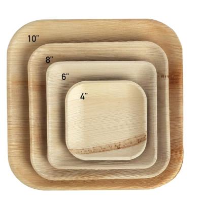 China Recycled Bulk Materials Friendly Biodegradable Bamboo Disposable Dishes and Cheap Wholesale Palm Leaf Disposable Dishes for sale