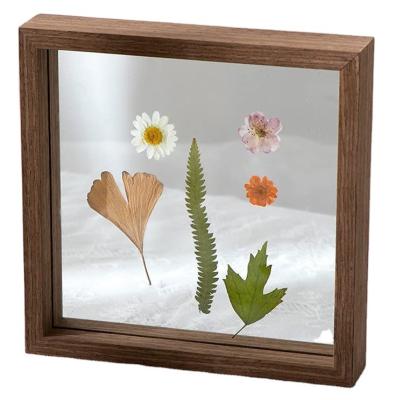 China Nordic simplicity supply planttransparent wooden photo frame home decoration /wood frame for sale