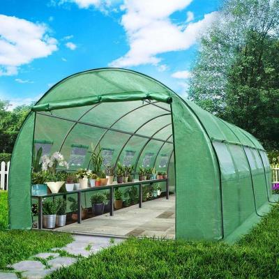 China 6x3M Galvanized Home Garden Tunnel Greenhouse Waterproof And UV Resistant Step In Galvanized Greenhouse for sale