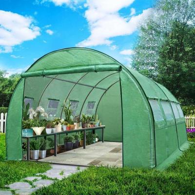 China 4x3M Galvanized Home Garden Polytunnel Waterproof Greenhouse Waterproof And UV Resistant Greenhouse Step for sale