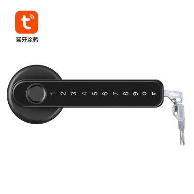 China Zinc Alloy Keyless Remote Control Door Handle Lock WiFi Gateway BLE Entry BLE Smartek Smart WiFi Electronic Password for sale