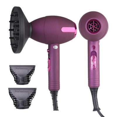 China Professional Ionic Blow Dryer 3 in1 High Wind Electric Hair Dryer Blow Out Negative Ions Blow Dryer for sale