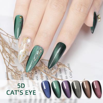 China Personal use for DIY and nail art for salon F-N Nail Art Beauty Private Label Soak off 5D UV Gel Cat Eyes Gel Nail Polish for sale for sale