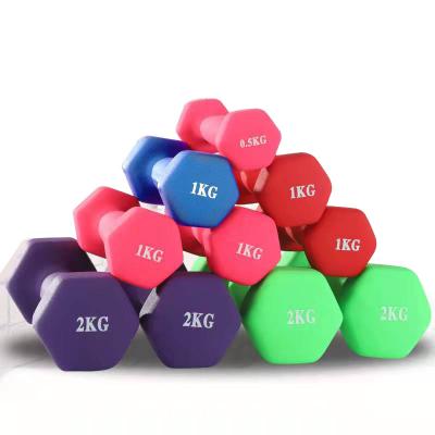 China Dumbbell Dumbbell Cast Iron Fitness Equipment Rubber Head Rubber Covered Rubber Dumbell/Rubber Hex Dumbbell for sale