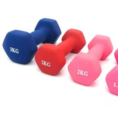 China Custom Dumbbell Cast Iron Fitness Equipment Round Head Rubber Covered Rubber Dumbell / Rubber Hex Dumbbell for sale