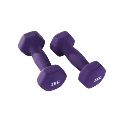 China Custom Neoprene Exercise Fitness Women Coated Dumbbell Dumbbell Equipment Rubber Covered for sale