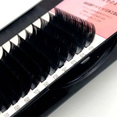 China Long 100% Natural Handmade Fake Mink Gold Korean Pbt Fiber Lash Extension Individual Eyelash Extensions for sale