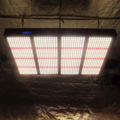 China Seed Starting Commercial Dimmable Lights Indoor Hydroponic Full Spectrum Lm281b Lm301h Samsung 800w Grow Light for sale