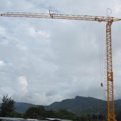 Chine QTK25 Self Erecting Crane China Small  Supplier à vendre