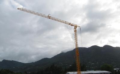 Κίνα QTK25 Mini Self Erecting Crane Supplier Easy Maintenance προς πώληση