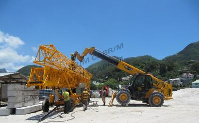 중국 QTK25 Self Erecting Crane Mini  Supplier Low Maintenance Cost 판매용