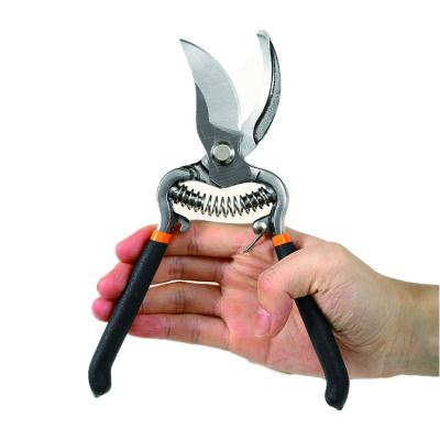 China Trimming Garden Shears Pruners Scissors Flower Cutter Leaf for sale