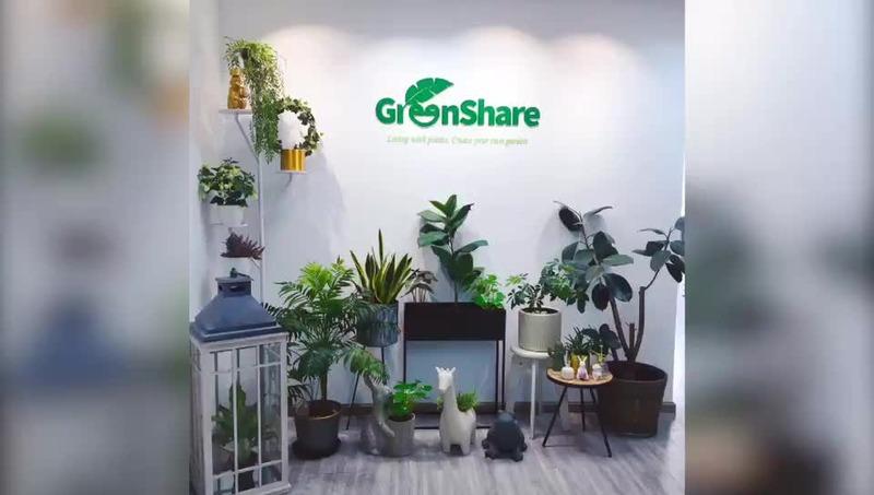 Verified China supplier - Ningbo Greenshare Import & Export Co., Ltd.