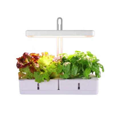 China Start From Seed Grow Your Own Mini Garden Hydroponic Grow Set Smart Indoor Smart Lighting System With Timer And Light for sale