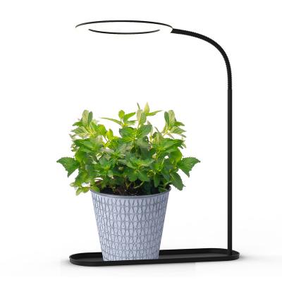 China Seed Starting Mini Garden Plastic LED Table Grow Plant Lights Lamp With Tray Kids NEW 2021 Grow Your Own Full Spectrum for sale