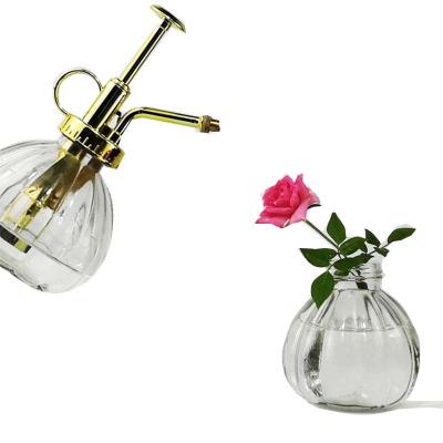 China Decorative Golden Garden 250ml Mini Glass Pumpkin Water Sprayers For Home Plants And Flowers And Garden for sale