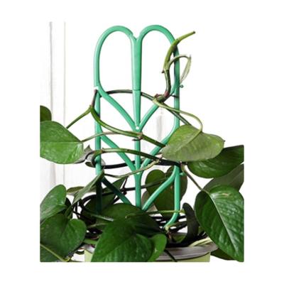 China Modern Decorative Plastic Plant Pole Stake Support Set Of 3 For Climbing Plants for sale