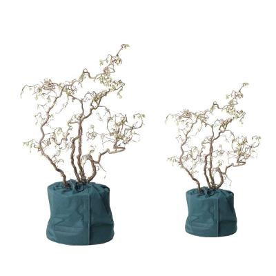 China Plastic PP Garden Tree Plant Pot Non Woven Breathable Cover for sale